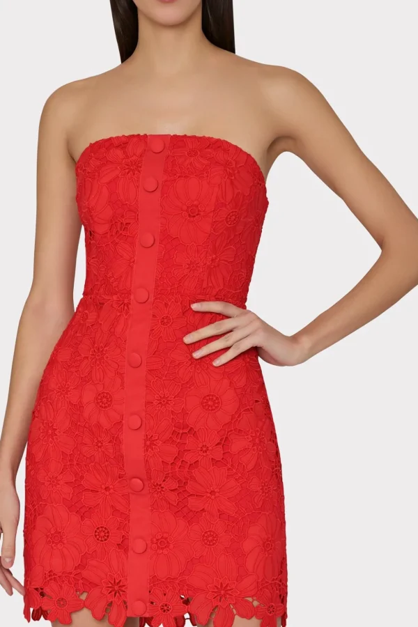roja_lace_mini_dress_2-2.webp Mini Dresses-MILLY Roja Lace Mini Dress Red